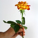 FFC Ketsch Karl Hofmann 04